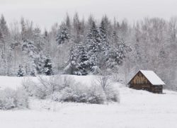 1127 Snowy Cabin